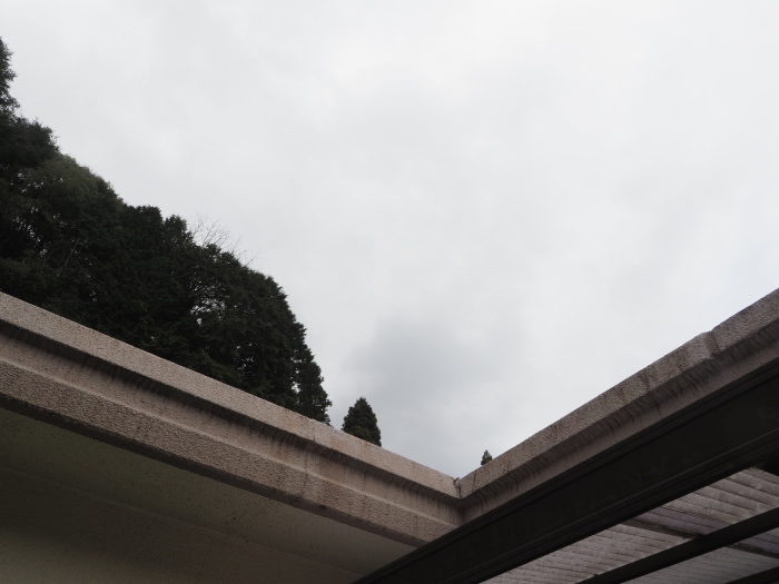 曇りの一日_c0116915_23050595.jpg