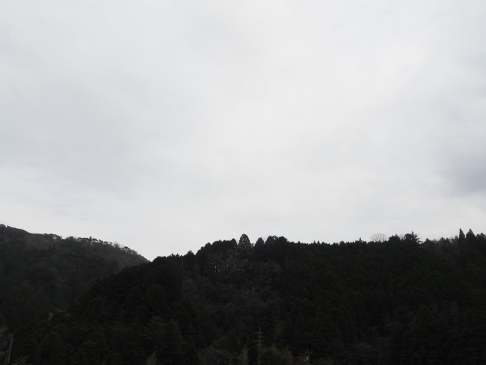 曇りの一日_c0116915_23052467.jpg