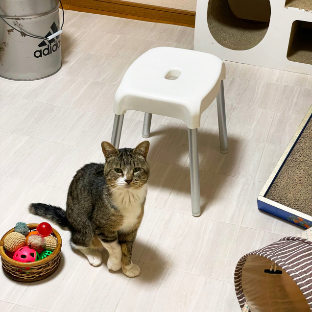 どたばたの理由_d0355333_19544747.jpg