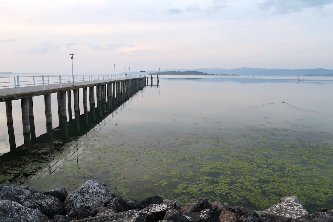 桟橋をゆけば白鳥 夕日きらめくトラジメーノ湖に_f0234936_23373271.jpg