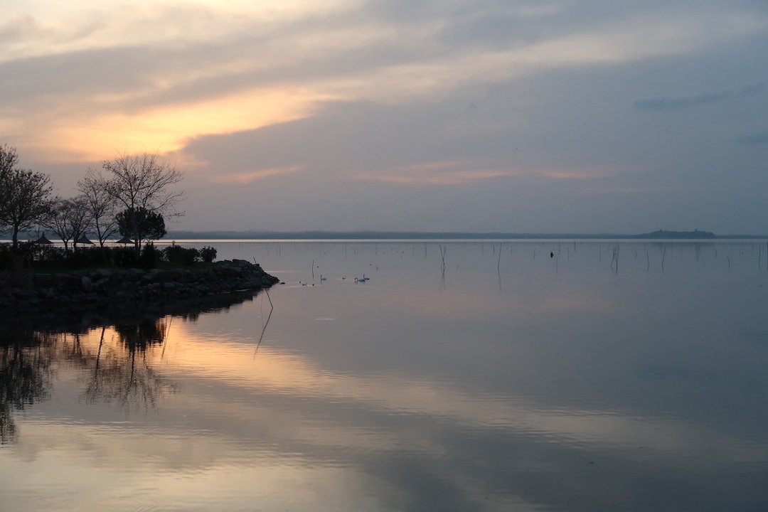 桟橋をゆけば白鳥 夕日きらめくトラジメーノ湖に_f0234936_23483040.jpg