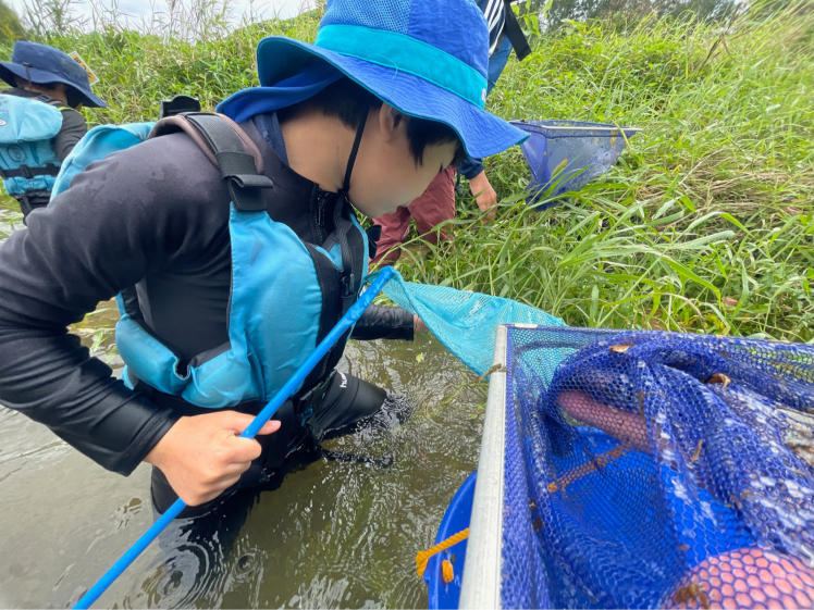 春の７Days冒険学校〔５日目〕透き通った綺麗な川で水遊び！エビや化石も発見！_d0363878_14095639.jpg