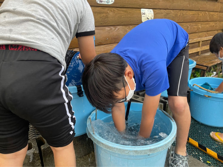 春の７Days冒険学校〔５日目〕透き通った綺麗な川で水遊び！エビや化石も発見！_d0363878_15300417.jpg