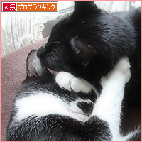 べたべた兄弟_a0389088_16153369.jpg