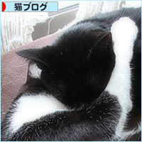 べたべた兄弟_a0389088_16153371.jpg