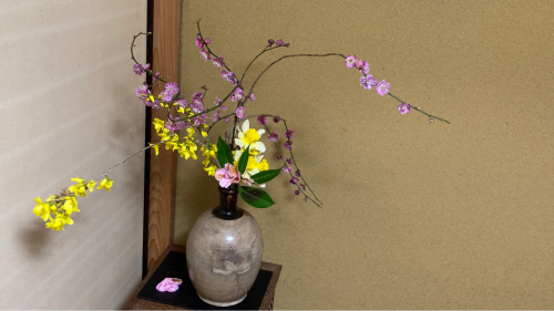 花どろぼう 西蔵坊だより