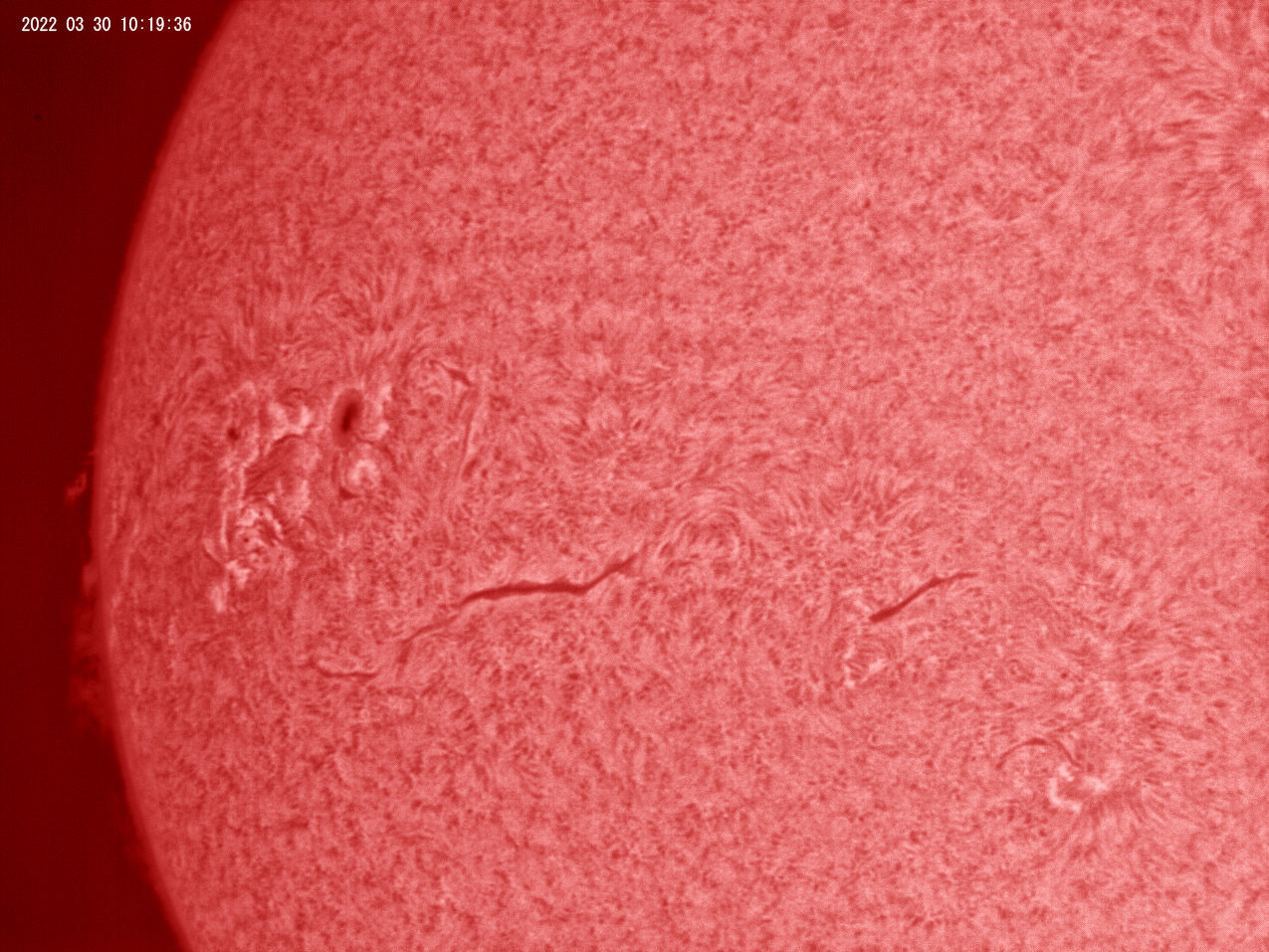 3月30日の太陽_e0174091_13133939.jpg