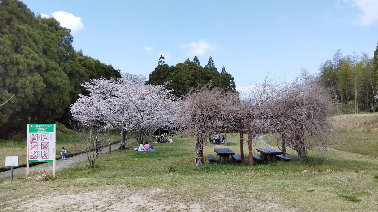 3月30日の太陽_e0174091_13203910.jpg