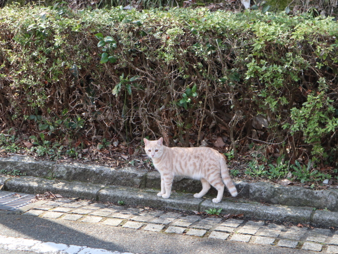 恋の季節♪_b0331802_20053728.jpg