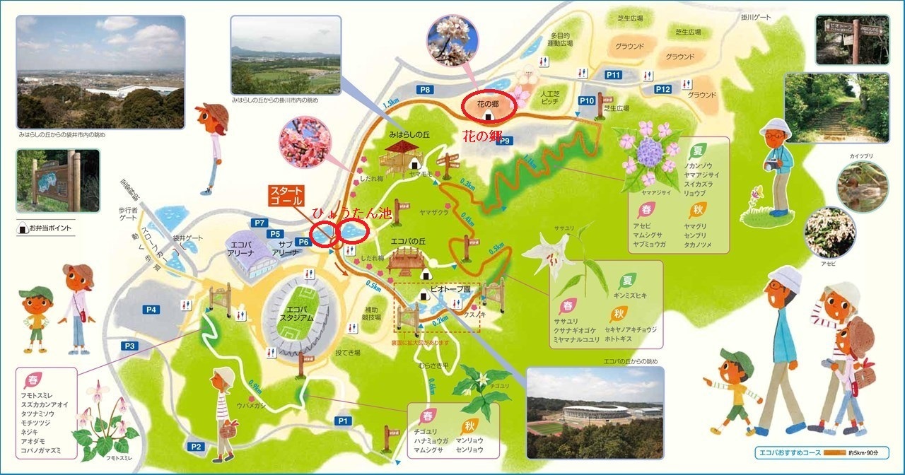 エコパ花の郷とエコパの森ウォーキング_c0376508_08541056.jpg