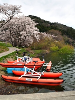 お花見シーズン その3_f0129726_19442350.jpg