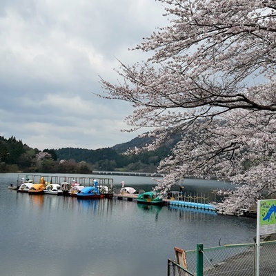 お花見シーズン その3_f0129726_19555498.jpg