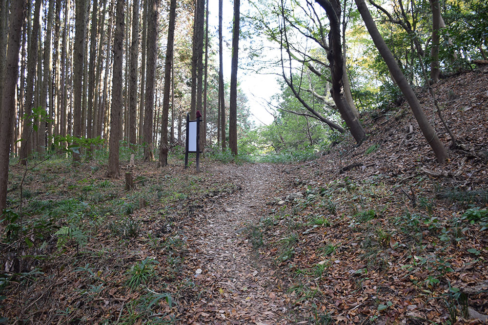 松永久秀終焉の地・信貴山城。 その4 <北曲輪群~松永屋敷跡>_e0158128_20030540.jpg
