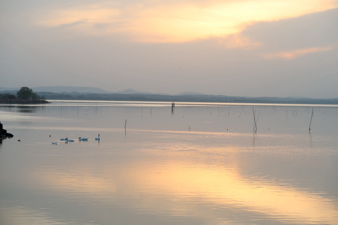 桟橋をゆけば白鳥 夕日きらめくトラジメーノ湖に_f0234936_00133876.jpg