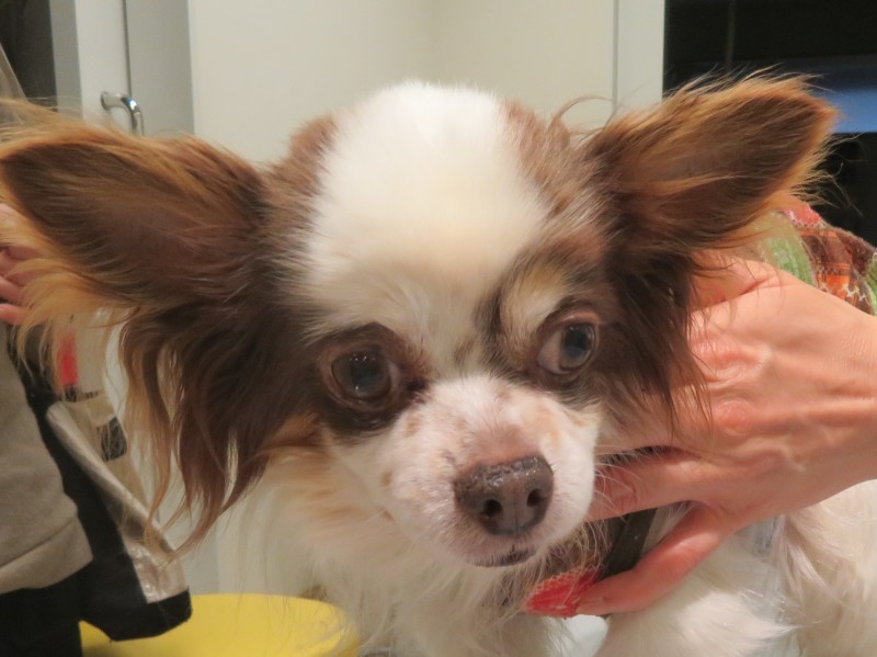 3月 31日の写真_c0174644_18065841.jpg