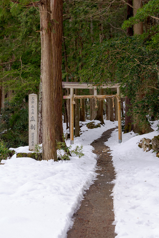 今津ザゼンソウと瓜割の滝_f0155048_20574715.jpg