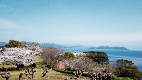 桜満開の西海橋_d0195183_20385231.jpg