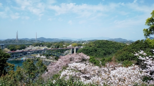 桜満開の西海橋_d0195183_20393402.jpg