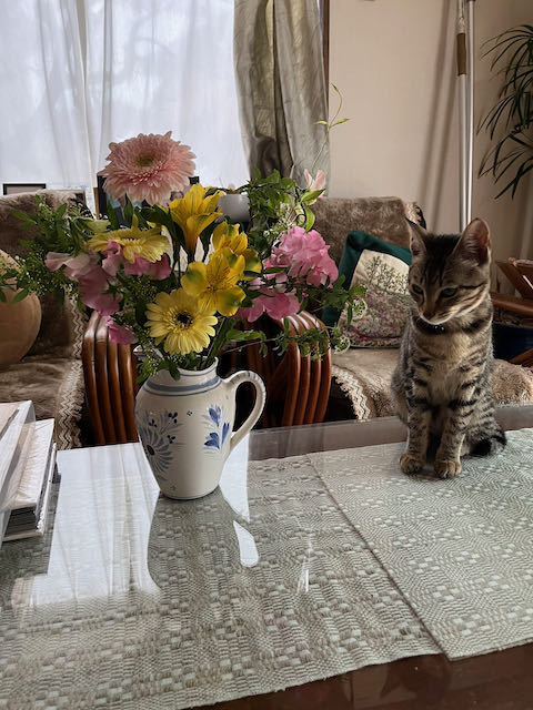 花見の宴