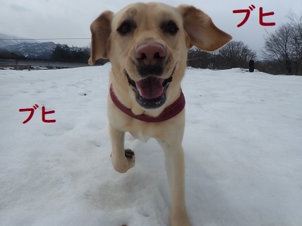 まだまだ寒い４月スタート!!_c0182012_12413105.jpg