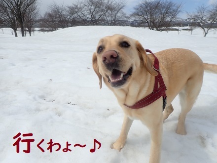 まだまだ寒い４月スタート!!_c0182012_12413407.jpg