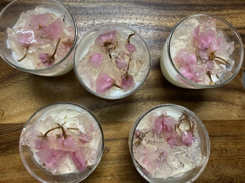 桜杏仁豆腐。 : ちいさな幸せのある毎日 桜杏仁豆腐。 : ちいさな幸せのある毎日