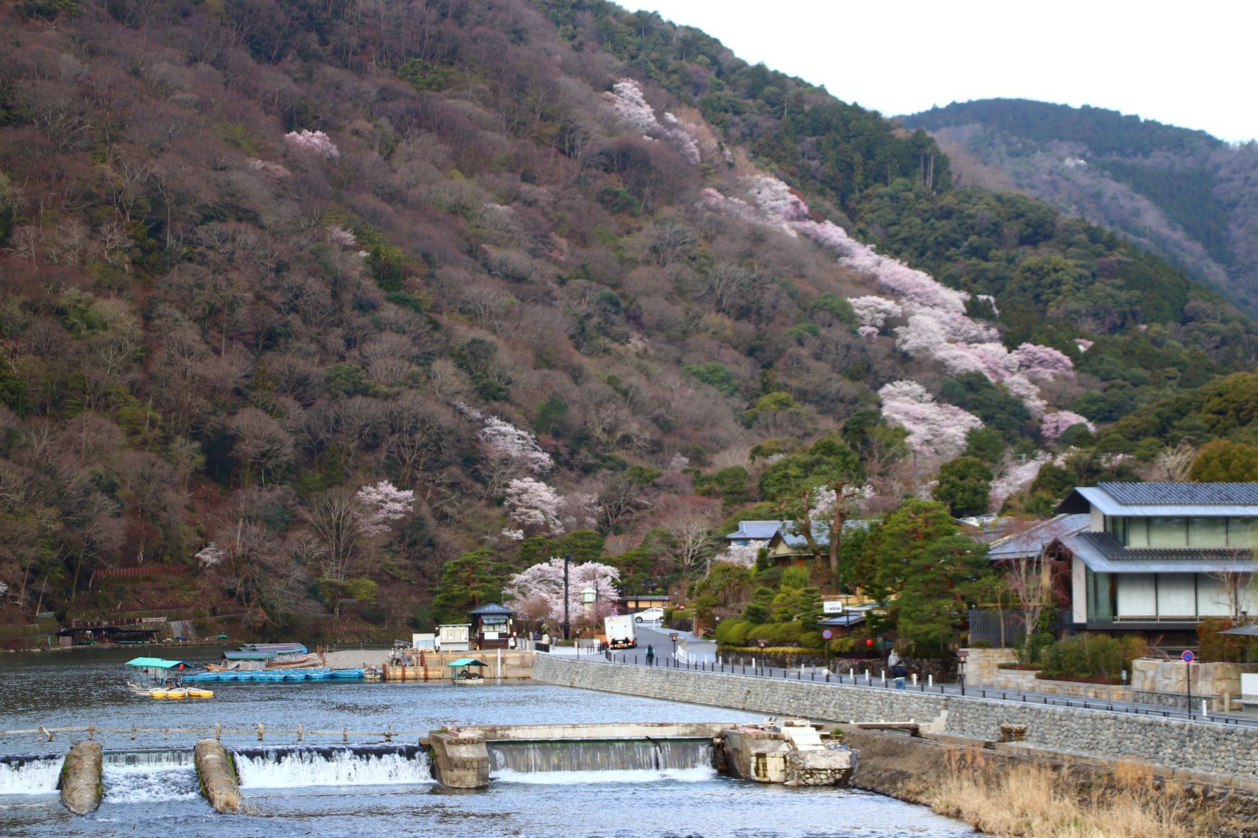 嵐山　桜盛り_e0048413_20391729.jpg