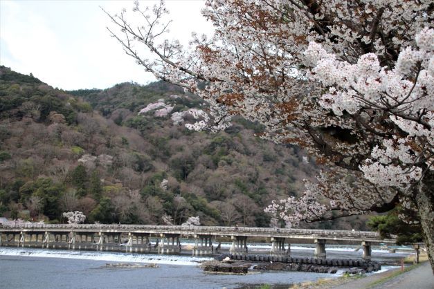 嵐山　桜盛り_e0048413_20392973.jpg