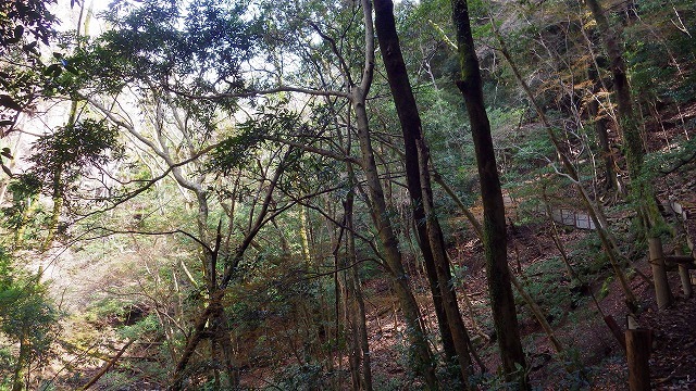 2022.3.27 三好山・摂津峡_c0367922_20322812.jpg
