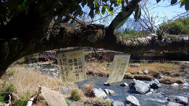 2022.3.27 三好山・摂津峡_c0367922_21301755.jpg