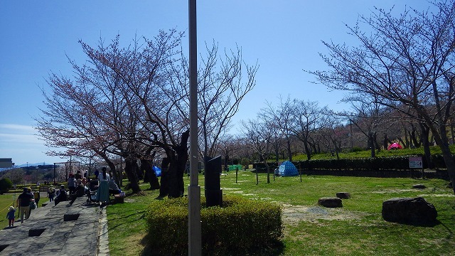2022.3.27 三好山・摂津峡_c0367922_21433908.jpg