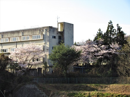 ご近所の「点景」になる桜_e0175370_10532268.jpg