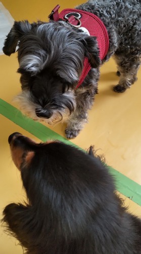 保育園ブログ🥰_f0357682_12045892.jpg