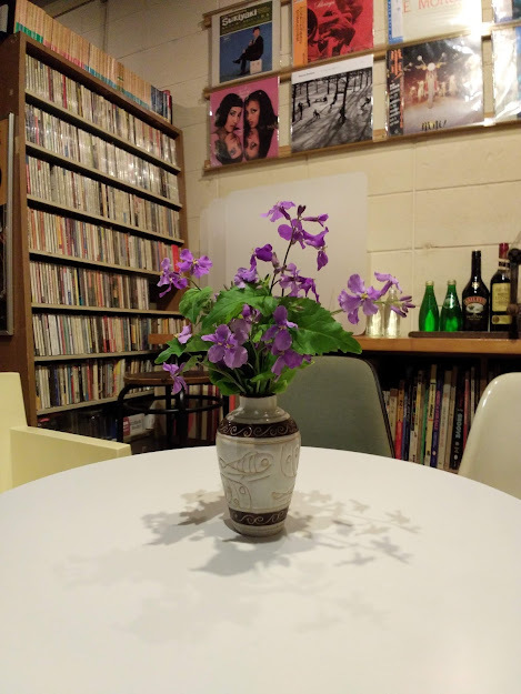オオアラセイトウ_c0099300_21583856.jpg