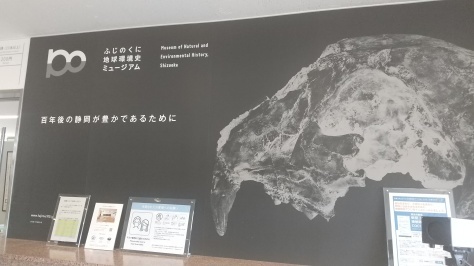ふじのくに地球環境史ミュージアム_d0050503_09373768.jpg