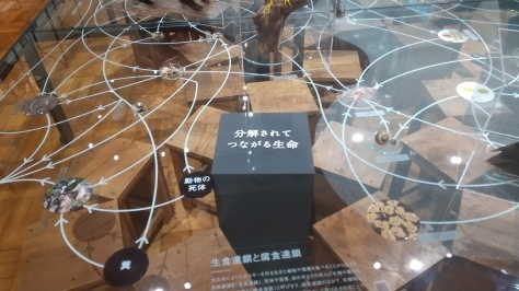 ふじのくに地球環境史ミュージアム_d0050503_09402403.jpg