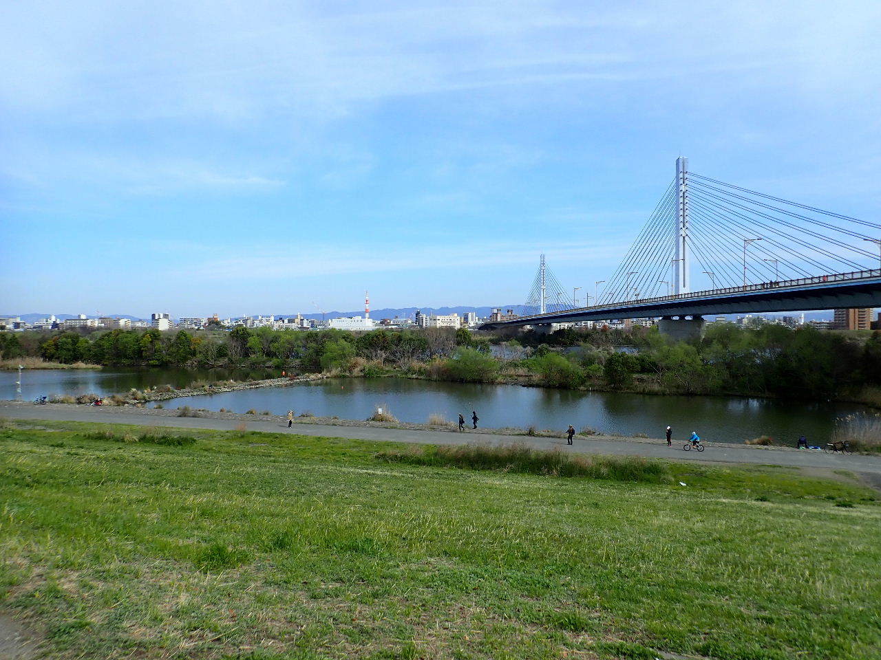 【ご報告】城北定例保全活動1_a0263106_19444482.jpg