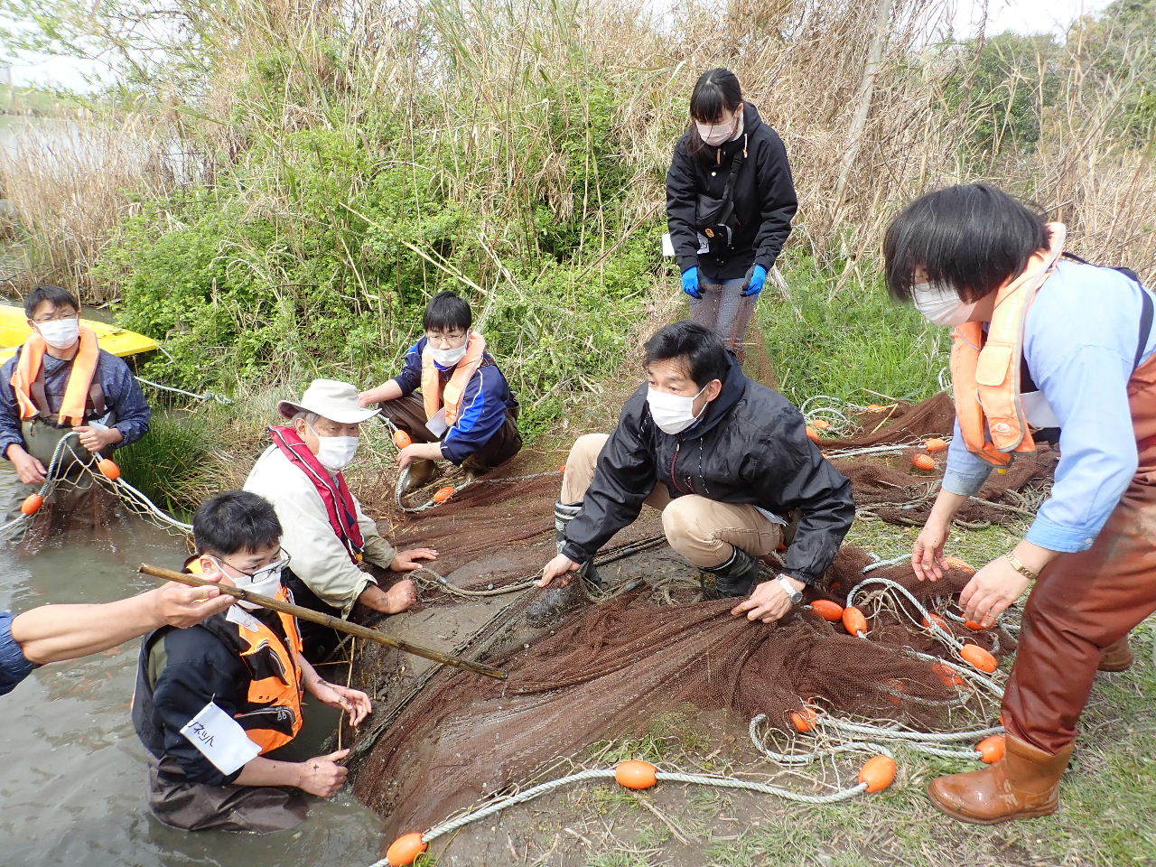 【ご報告】城北定例保全活動1_a0263106_19595648.jpg
