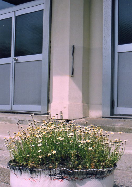 函館市立高盛小学校(函館懐かしの建築)_f0142606_12182082.jpg