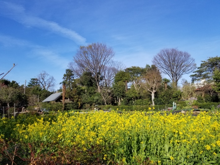 会津のあわまんじゅう_e0016828_11592400.jpg