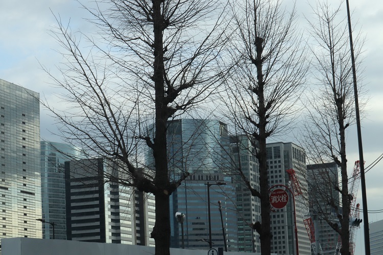 中高層Mマンションリフォーム現場調査は品川区へ。_a0214329_21480921.jpg