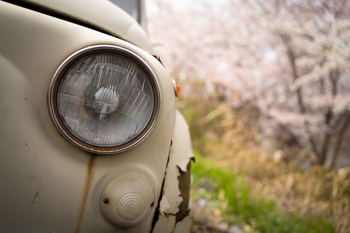満開の桜の中で眠るイタリアの庭師_d0353489_20182421.jpg