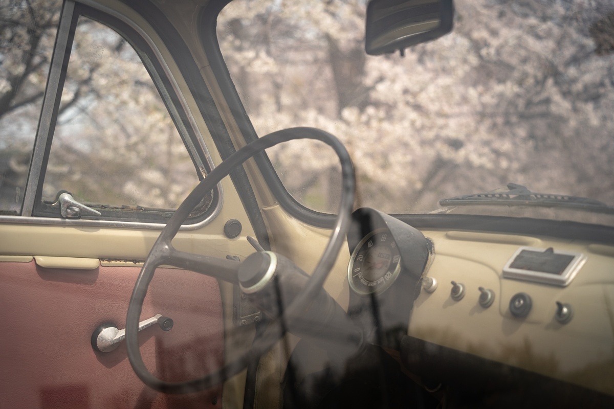 満開の桜の中で眠るイタリアの庭師_d0353489_20193392.jpg