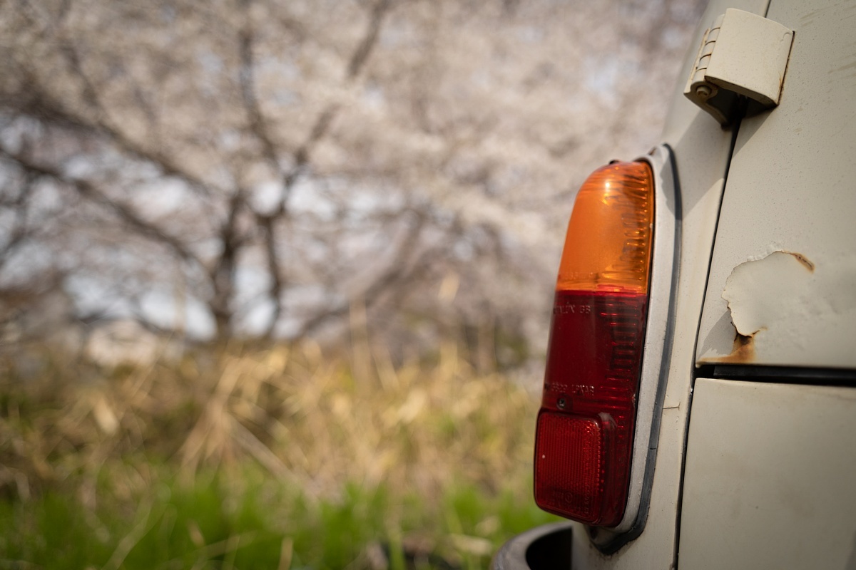 満開の桜の中で眠るイタリアの庭師_d0353489_20193803.jpg
