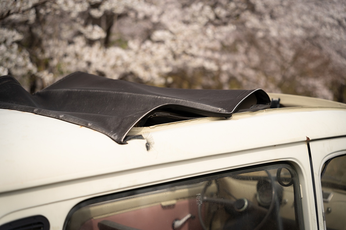満開の桜の中で眠るイタリアの庭師_d0353489_20194675.jpg