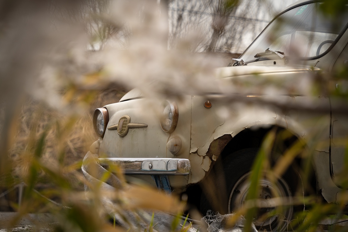満開の桜の中で眠るイタリアの庭師_d0353489_20195751.jpg