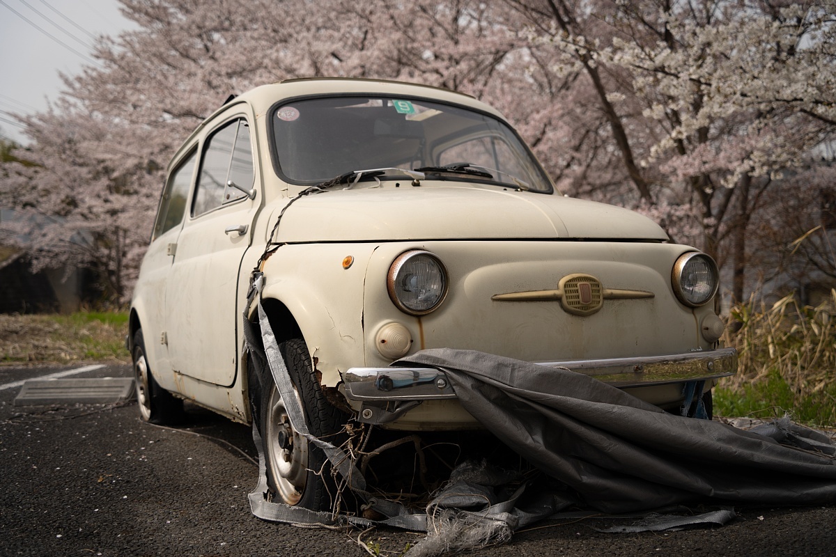 満開の桜の中で眠るイタリアの庭師_d0353489_20202199.jpg