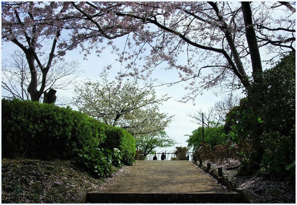 続・江の島ラブ_c0352813_10194078.jpg