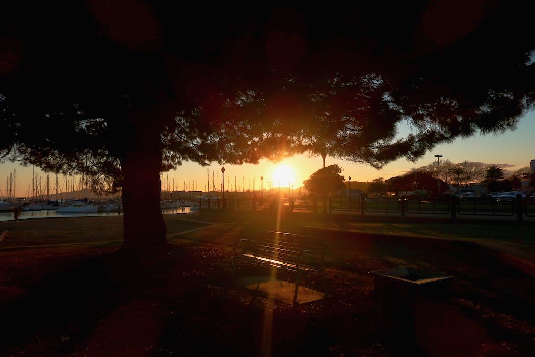 夕暮れ時の公園_a0397115_21380822.jpeg