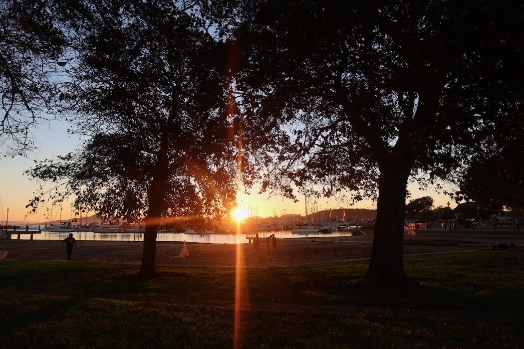 夕暮れ時の公園_a0397115_21410001.jpeg